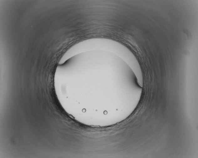 X0000113110029200909251101