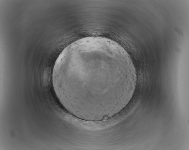 X0000113110030200909251101