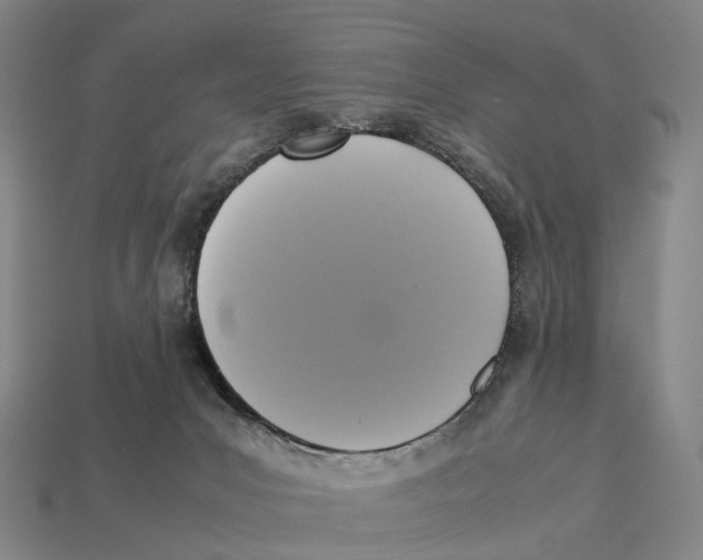 X0000113110031200909251101