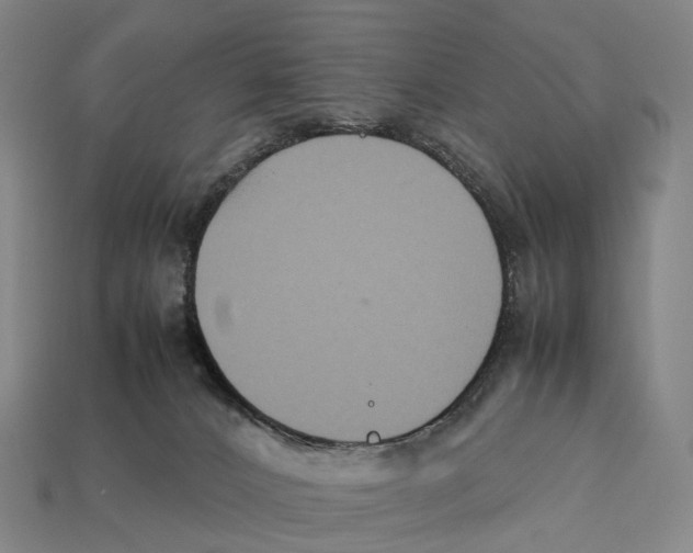 X0000113110032200909251101