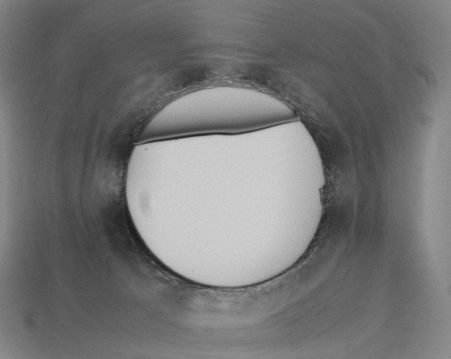 X0000113110033200909251101