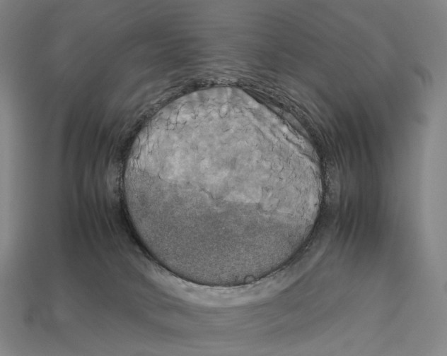 X0000113110034200909251101