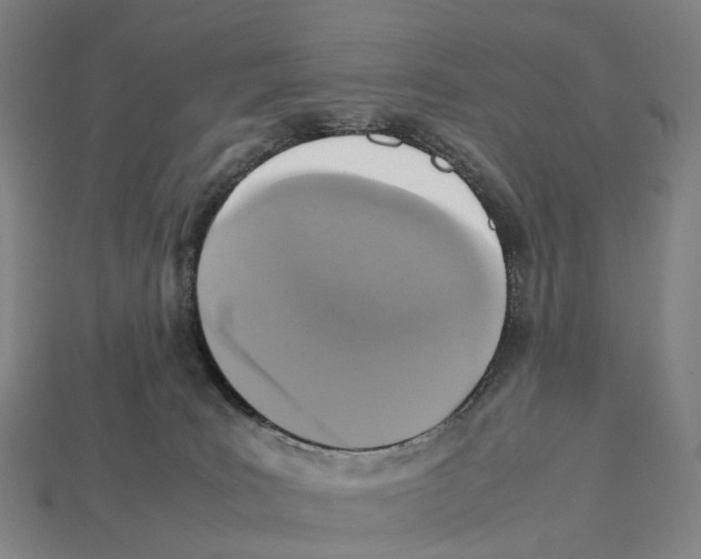 X0000113110035200909251101