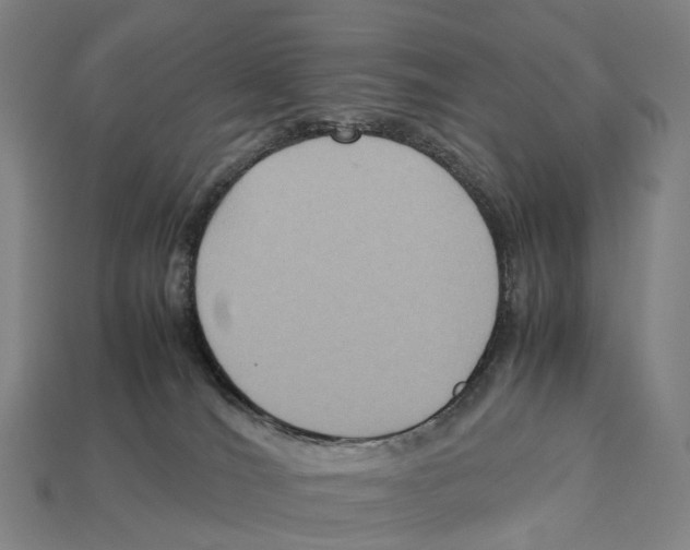 X0000113110036200909251101