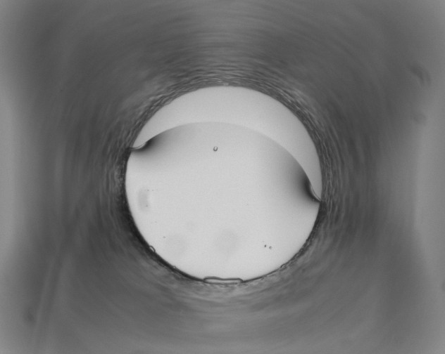 X0000113110037200909251101