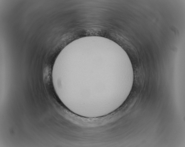 X0000113110038200909251101