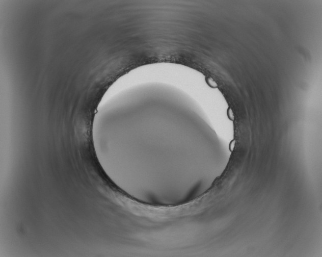 X0000113110039200909251101