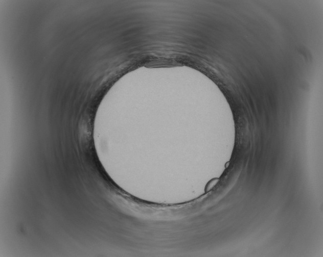 X0000113110040200909251101
