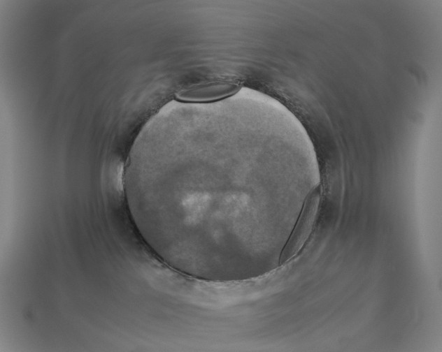 X0000113110041200909251101