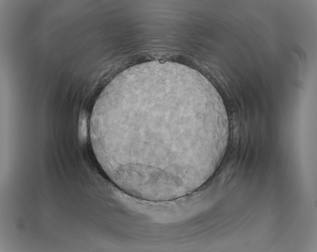 X0000113110042200909251101