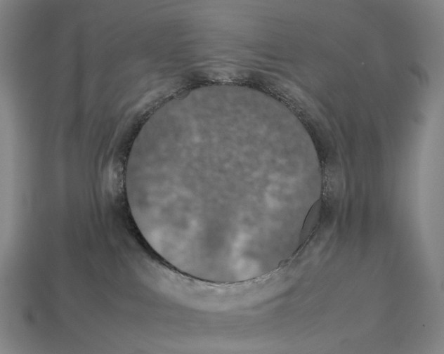 X0000113110043200909251101