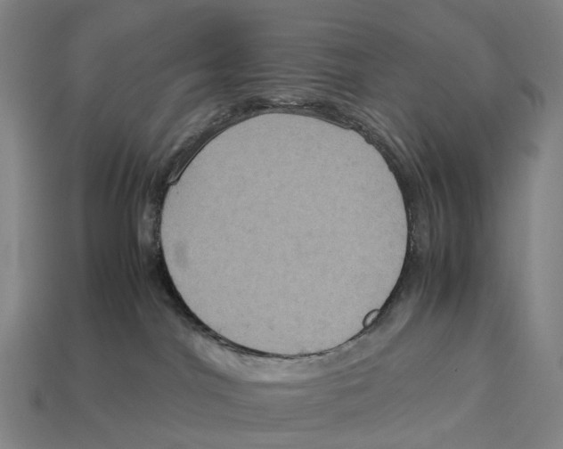 X0000113110044200909251101