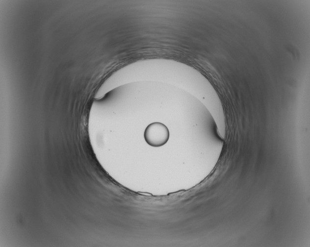 X0000113110045200909251101