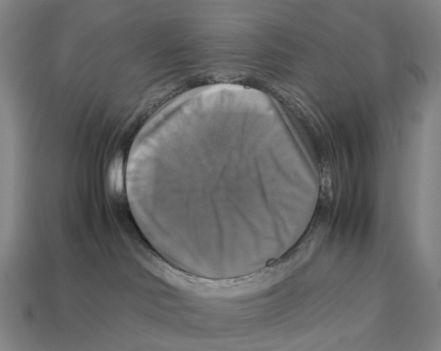 X0000113110046200909251101