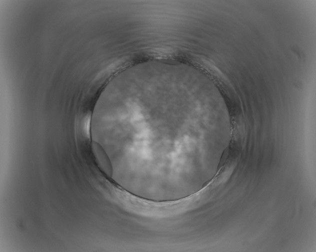 X0000113110047200909251101
