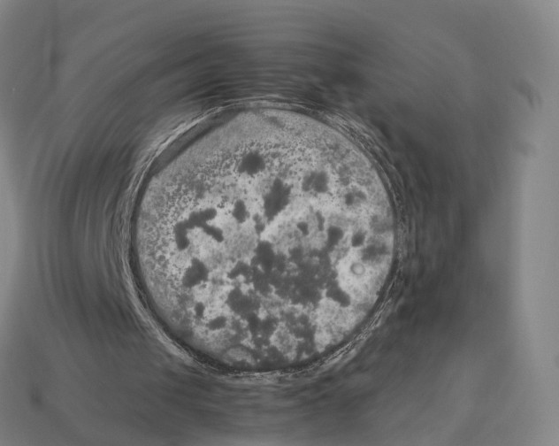 X0000113110049200909251100