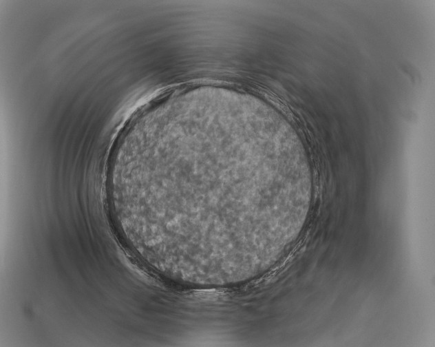 X0000113110050200909251100