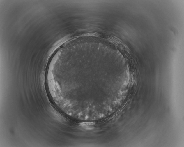 X0000113110051200909251100