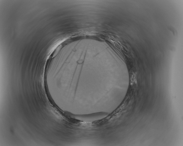 X0000113110052200909251100
