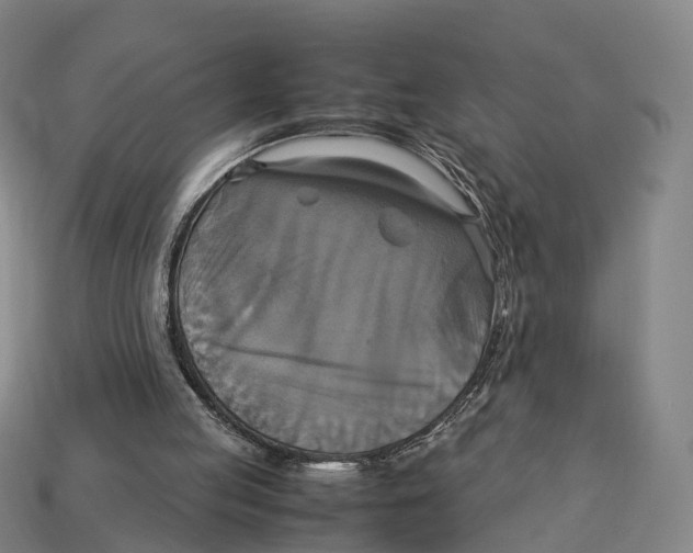 X0000113110053200909251100