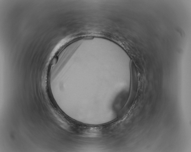 X0000113110056200909251100