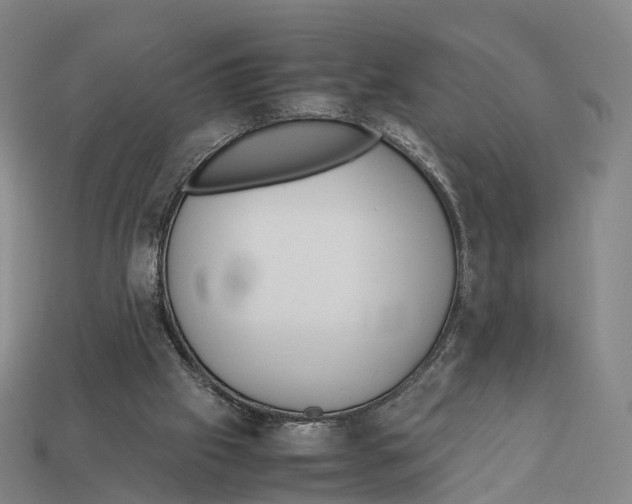 X0000113110057200909251100
