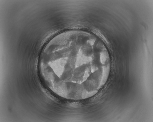X0000113110058200909251100
