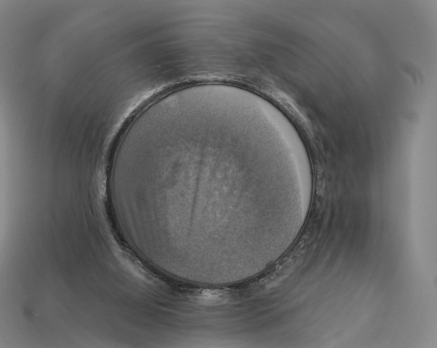 X0000113110060200909251100