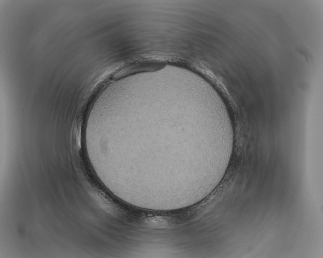 X0000113110062200909251100