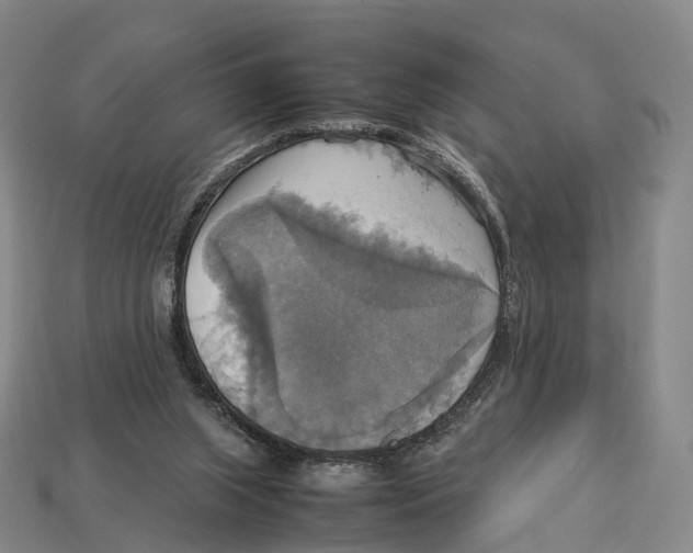 X0000113110063200909251100