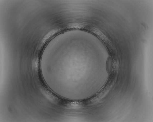 X0000113110064200909251100