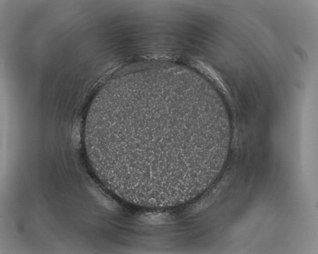 X0000113110065200909251100