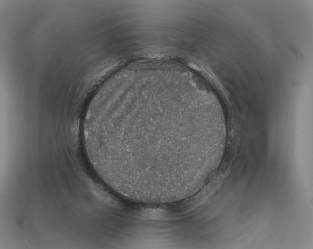 X0000113110066200909251100