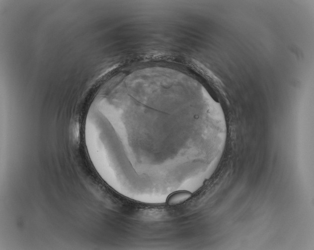 X0000113110067200909251100