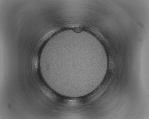 X0000113110068200909251100