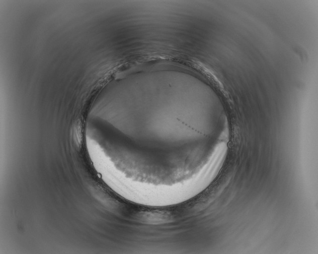 X0000113110069200909251100