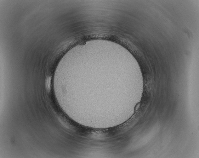 X0000113110070200909251101