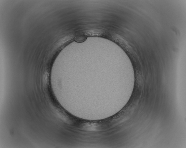 X0000113110071200909251101