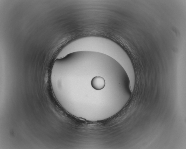 X0000113110072200909251101