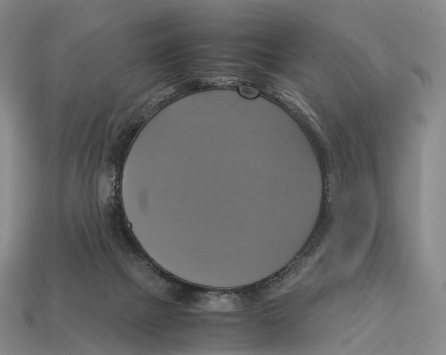 X0000113110073200909251101
