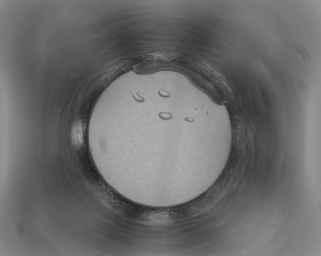 X0000113110075200909251101