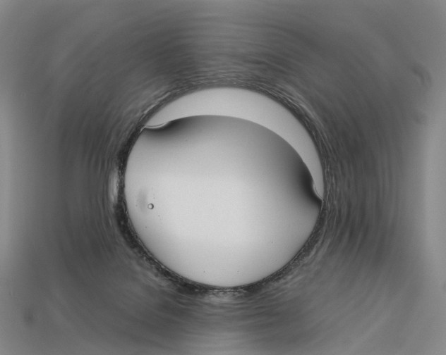 X0000113110076200909251101