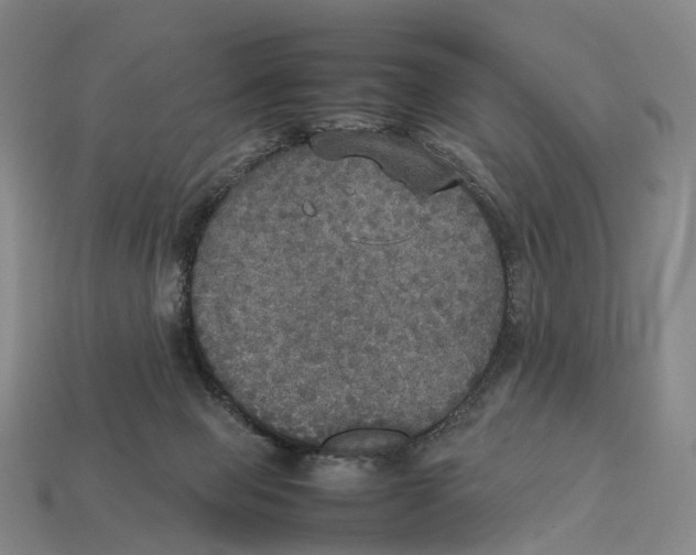 X0000113110077200909251101