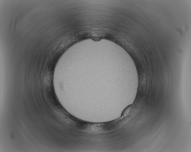 X0000113110078200909251101