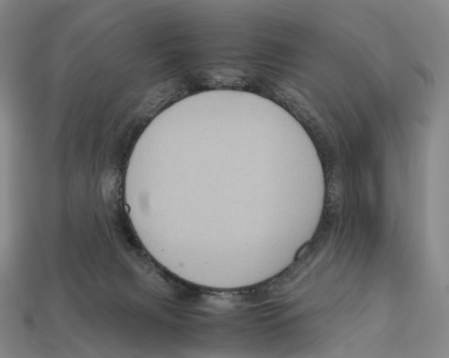 X0000113110079200909251101