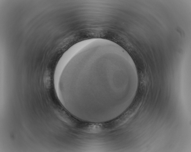 X0000113110080200909251101