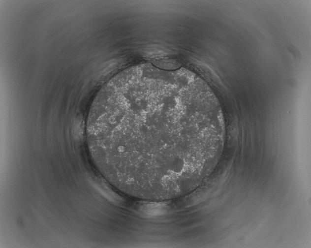 X0000113110081200909251101