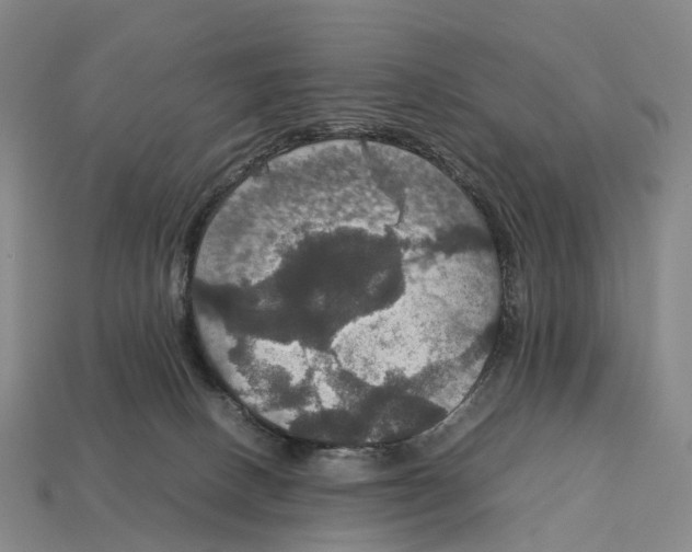 X0000113110082200909251101
