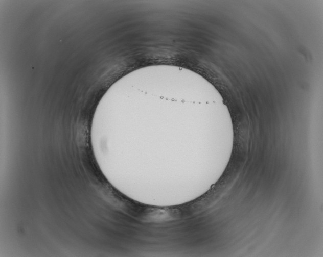 X0000113110083200909251101