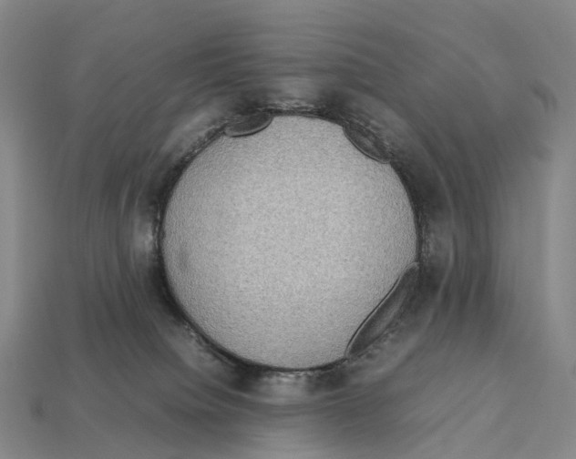 X0000113110084200909251101